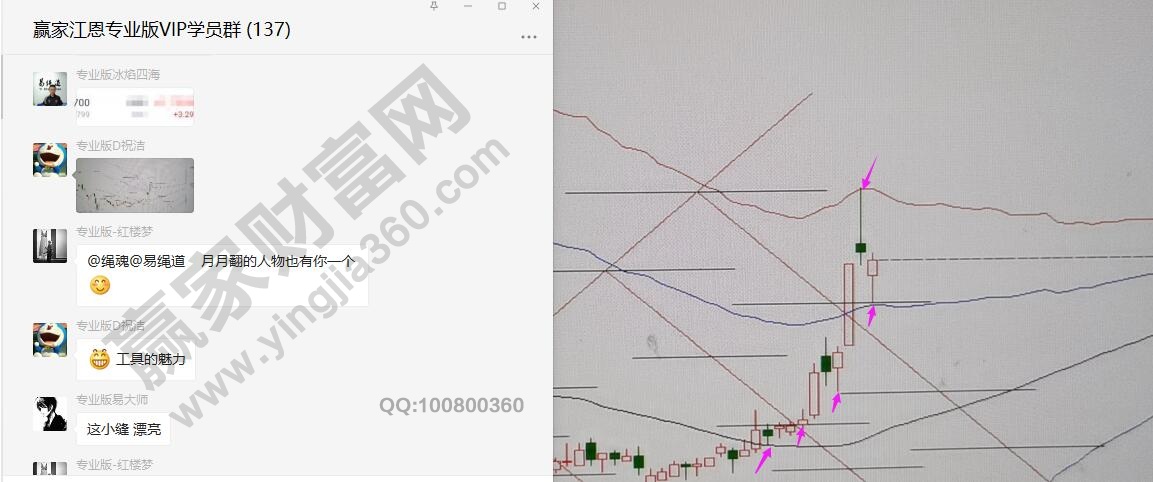 赢家学员